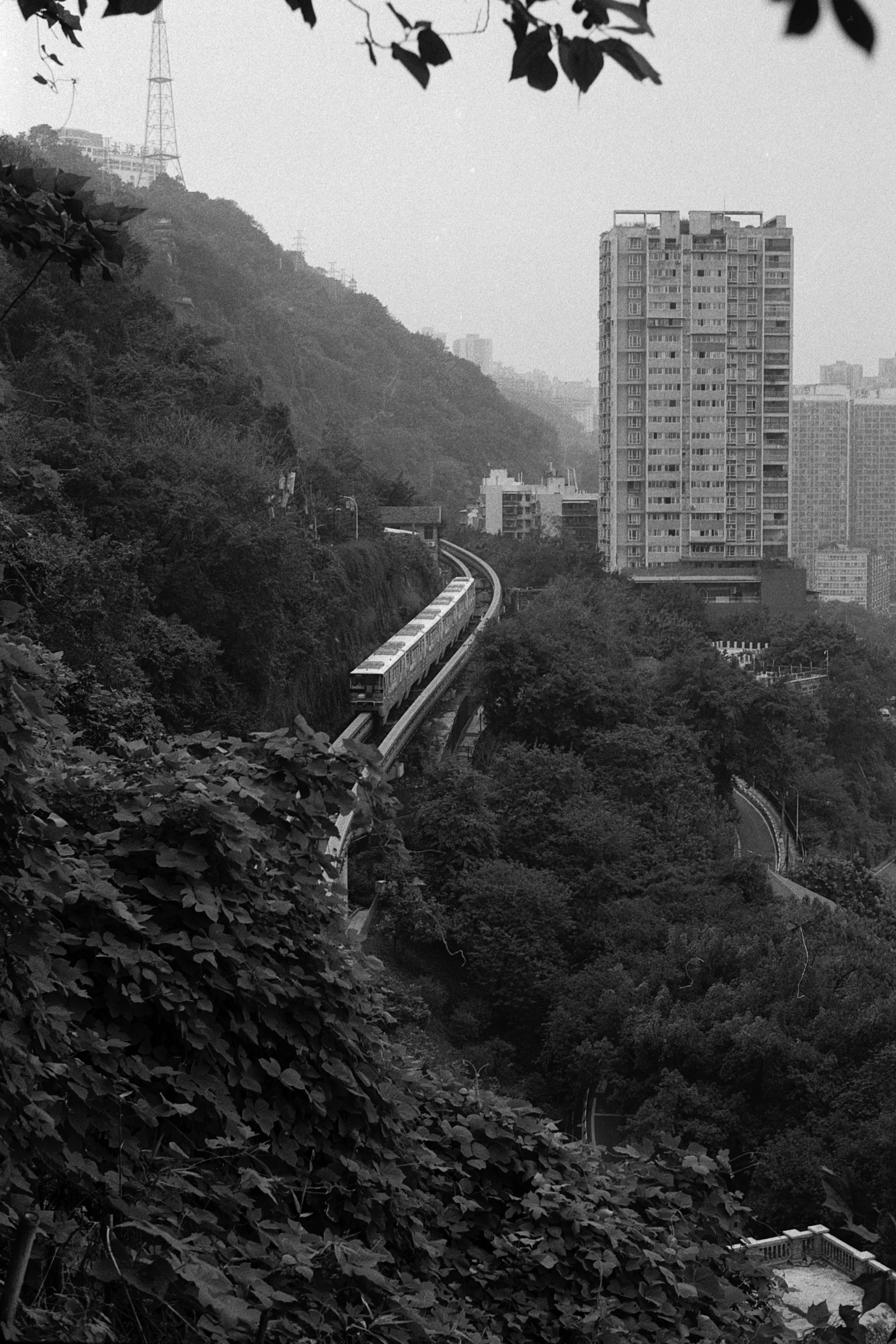 A tall residential tower stands in a narrow valley between a wooded hillside and the city.
