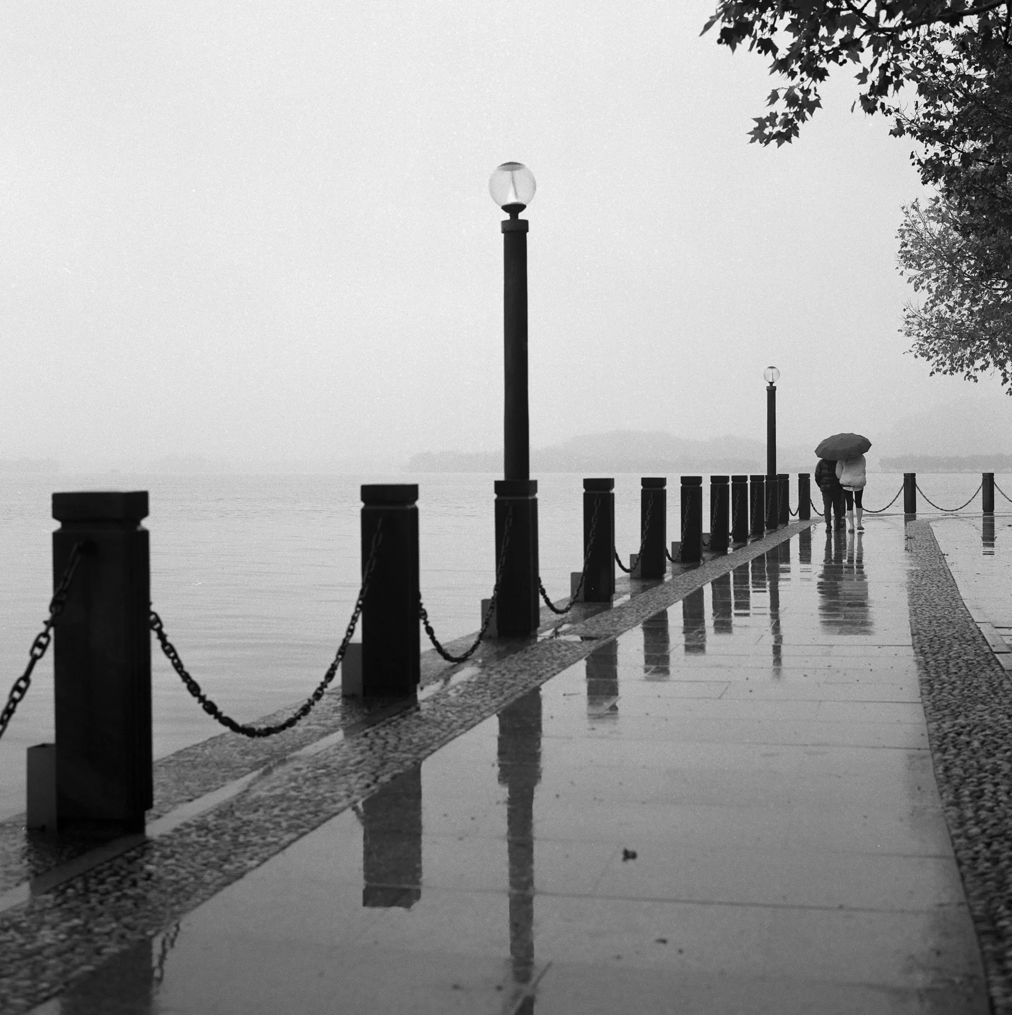 An empty rain-soaked promenade stretches into mist beside West Lake.
