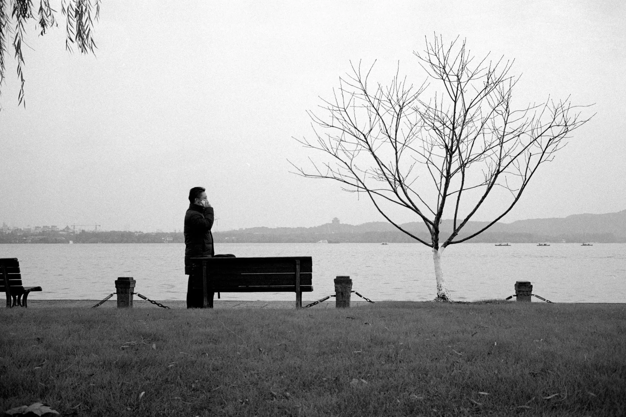 A person stands beside a bare tree, bench, and calm lake beneath a pale sky.