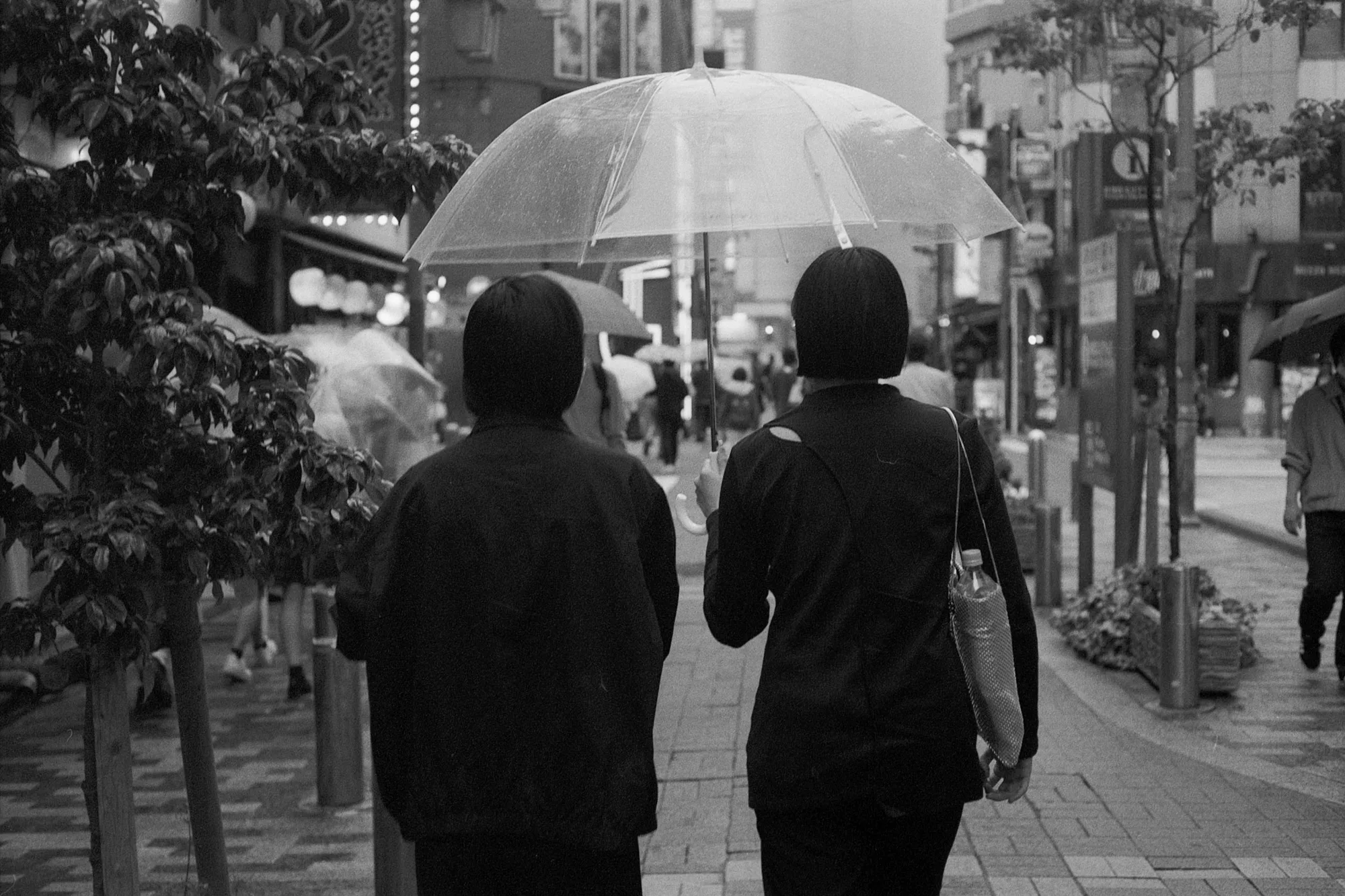 Two people walk side by side beneath a clear umbrella on a Tokyo pavement.